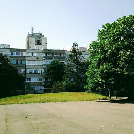 Men Who Knit Appartement Belgrado Buitenkant foto