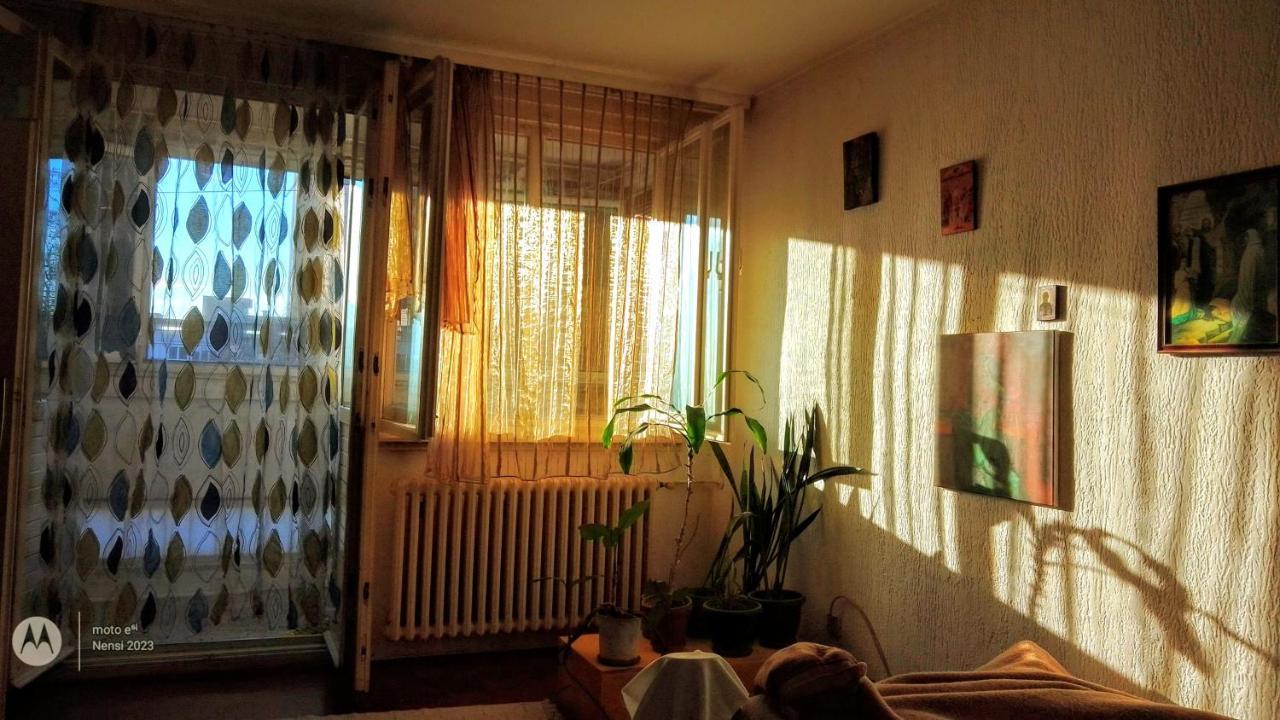Men Who Knit Appartement Belgrado Buitenkant foto